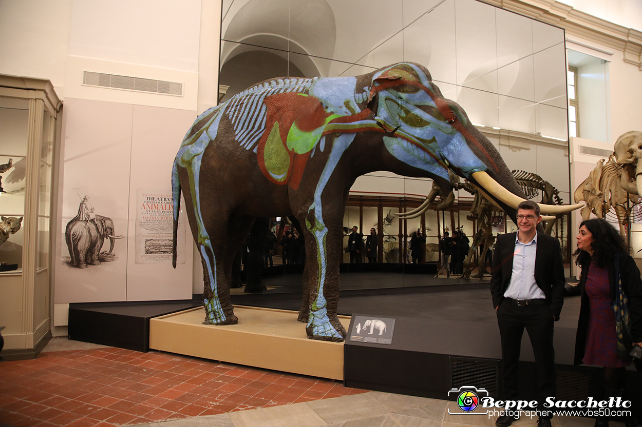 VBS_0904 - Riapre il Museo di Scienze Naturali dopo dieci anni di chiusura.jpg